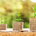 Make Money from Gardening