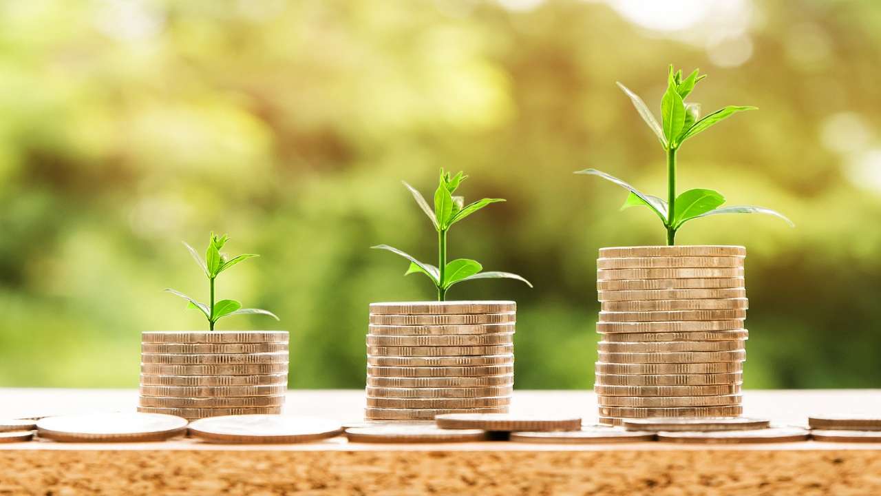 Make Money from Gardening