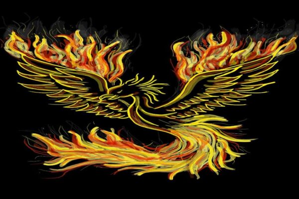 The Dragon and Phoenix